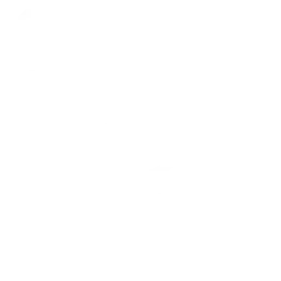 Automatic 5-Way Matching