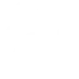 Payment Reconciliation Precision